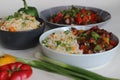 Vegetable Carrot Fried Rice with Indian spices served along with chilly chicken Royalty Free Stock Photo