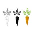 Vegetable carrot on a white background in three different versions contour, negative, flat realism. Vector illustration Royalty Free Stock Photo