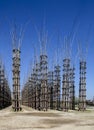 The Vegetable Cathedral in Lodi, Italy, made up 108 wooden columns among which an oak tree has been planted Royalty Free Stock Photo