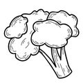 Vegetable. Cauliflower head of kale Vegetable. Vector illustration. Line drawing in hand doodle style, outline.