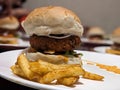 Vegetable Cheese Burger with French fries in a plate Royalty Free Stock Photo