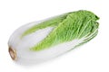 Vegetable Chinese cabbage isolated Royalty Free Stock Photo