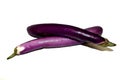 Vegetable - Chinese Eggplant Royalty Free Stock Photo
