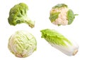 Vegetable collage Royalty Free Stock Photo
