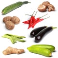 Vegetable collection Royalty Free Stock Photo