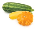 Vegetable composition: squash, marrow, patisson on white background.