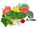 Vegetable composition. Vector.