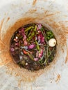 vegetable compost in a bin bucket