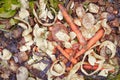 Vegetable Compost Peelings