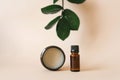 Vegetable cosmetics for body care in beauty salons. Bottle and jar with oils on a beige background with leaves of green