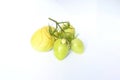 Vegetable, Cracking young tomatoes plant problems and sickness on white background. Tomatoes crack when environmental conditions