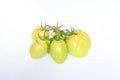 Vegetable, Cracking young tomatoes plant problems and sickness on white background. Tomatoes crack when environmental conditions