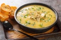 Vegetable cream soup of artichokes, potatoes, leeks and garlic served with toasted bread close-up in a bowl. Horizontal