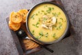 Vegetable cream soup of artichokes, potatoes, leeks and garlic served with toasted bread close-up in a bowl. Horizontal top view