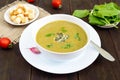 Vegetable cream soup with spinach and potatoes in a white bowl with garlic croutons on a dark wooden background Royalty Free Stock Photo