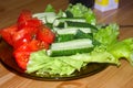 Vegetable Dish. Fresh Vegetable Salad. Tomatoes.Cucumbers, Lettuce.