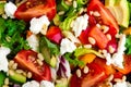 Vegetable dish, salad with avocado, pepper, tomato, italian mix, fresh lettuce, feta cheese and pine nuts. Healthy food Royalty Free Stock Photo