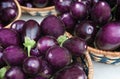 Vegetable Display - Eggplants
