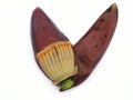 Vegetable - Edible banana flower or blossom. Widely used in various recipes in Asia.