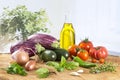 Vegetable eggplant, squash, tomato, zucchini ratatouille ingredients