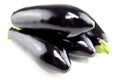 Vegetable eggplant still life isolated on white background Royalty Free Stock Photo