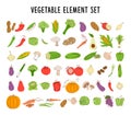 Vegetable element set coloring. Collection of hand drawn vegetable illustrations isolated on white background. Bundle of fresh Royalty Free Stock Photo