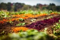 Vegetable field rows after harvesting closeup background 3D render digital illustration.