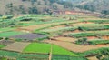 Vegetable fields on the hill in Daklak, Vietnam Royalty Free Stock Photo