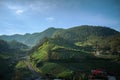 Vegetable fields on terraced of Tawangmangu, Indonesia. Indonesia landscapes Royalty Free Stock Photo