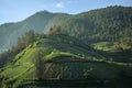 Vegetable fields on terraced of Tawangmangu, Indonesia. Indonesia landscapes Royalty Free Stock Photo