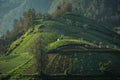 Vegetable fields on terraced of Tawangmangu, Indonesia. Indonesia landscapes Royalty Free Stock Photo