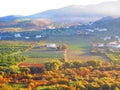 Vegetable fields in Valley