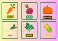 vegetable flash cards full size - 2 Royalty Free Stock Photo