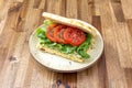 Vegetable focaccia sandwich with excellent tomatoes, toasted bread spread with vegetables Royalty Free Stock Photo