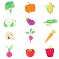 Vegetable food set