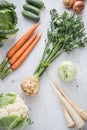 Vegetable. Fresh vegetable celery carrot onion parsnips cucumber kale cabbage kohlrabi and cauliflower on concrete background Royalty Free Stock Photo