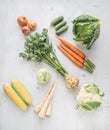 Vegetable. Fresh vegetable celery carrot onion parsnips cucumber kale cabbage kohlrabi and cauliflower on concrete background. Royalty Free Stock Photo