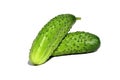 Two cucumbers lie on a white background