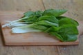 Vegetable, Fresh Oganic Chinese Cabbage, Pok Choi, Bok Choy or Pak Choi on A cutting board