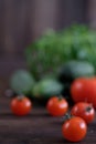 Fresh vegetables: tomatos, cucumbers and green seasonings Royalty Free Stock Photo