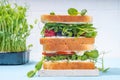 Vegetable and fruit microgreen sandwiches