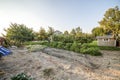 Vegetable garden at the backyard of a house near the tool shed Royalty Free Stock Photo