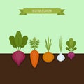 Vegetable garden banner. Organic and healthy food. Poster with r