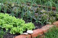 Vegetable garden bed