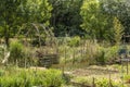 Vegetable garden at the beginning of June, wooden arches and varied vegetation, some plants maturing others abounding