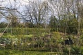 In the vegetable garden at the beginning of spring, arrangement of a structure in stakes for future crops, in the middle of early Royalty Free Stock Photo