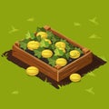 Vegetable Garden Box with Melons. Set 6