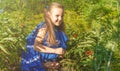 Vegetable garden. Cheerful smiling little girl with tomato harvest. child - little gardener with organic tomatoes