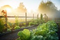 vegetable garden with evening mist