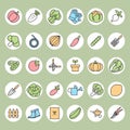 Vegetable garden and Gardening equipment ,vector icon